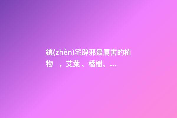 鎮(zhèn)宅辟邪最厲害的植物，艾葉、橘樹、桃樹等